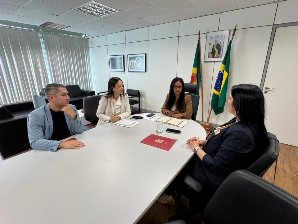 Capa Prefeita Adriane Perin busca recursos e investimentos para Nonoai em agendas em Brasília