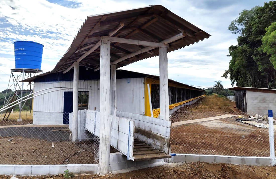 Capa Produtor investe na suinocultura e fortalece o setor em Três Passos