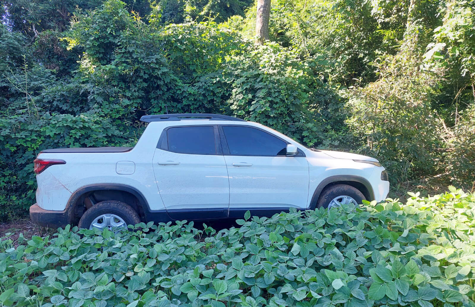 Capa Fiat Toro roubada em Novo Barreiro é encontrada abandonada em lavoura de Palmeiras das Missões