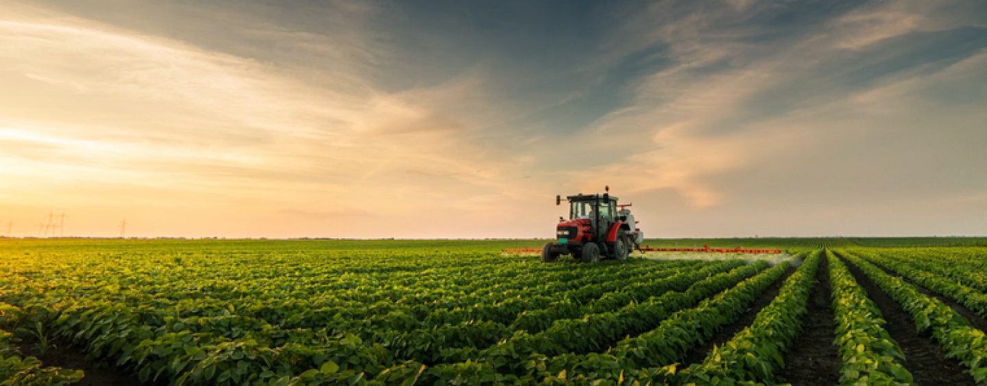 Capa Produtor rural tem até o dia 29 de setembro para entregar o ITR 2023