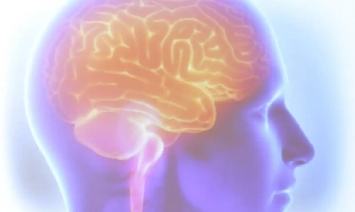 Capa Aplicativo identifica tumores cerebrais com quase 100% de precisão