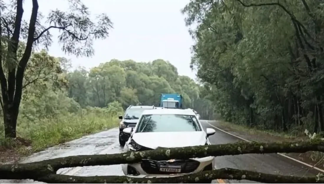 Capa Automóvel colide com árvore caída na ERS-155 em Santo Augusto