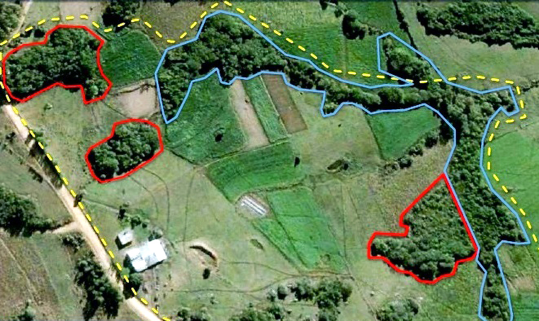 Capa Farsul alerta produtores sobre mudanças no Cadastro Ambiental Rural