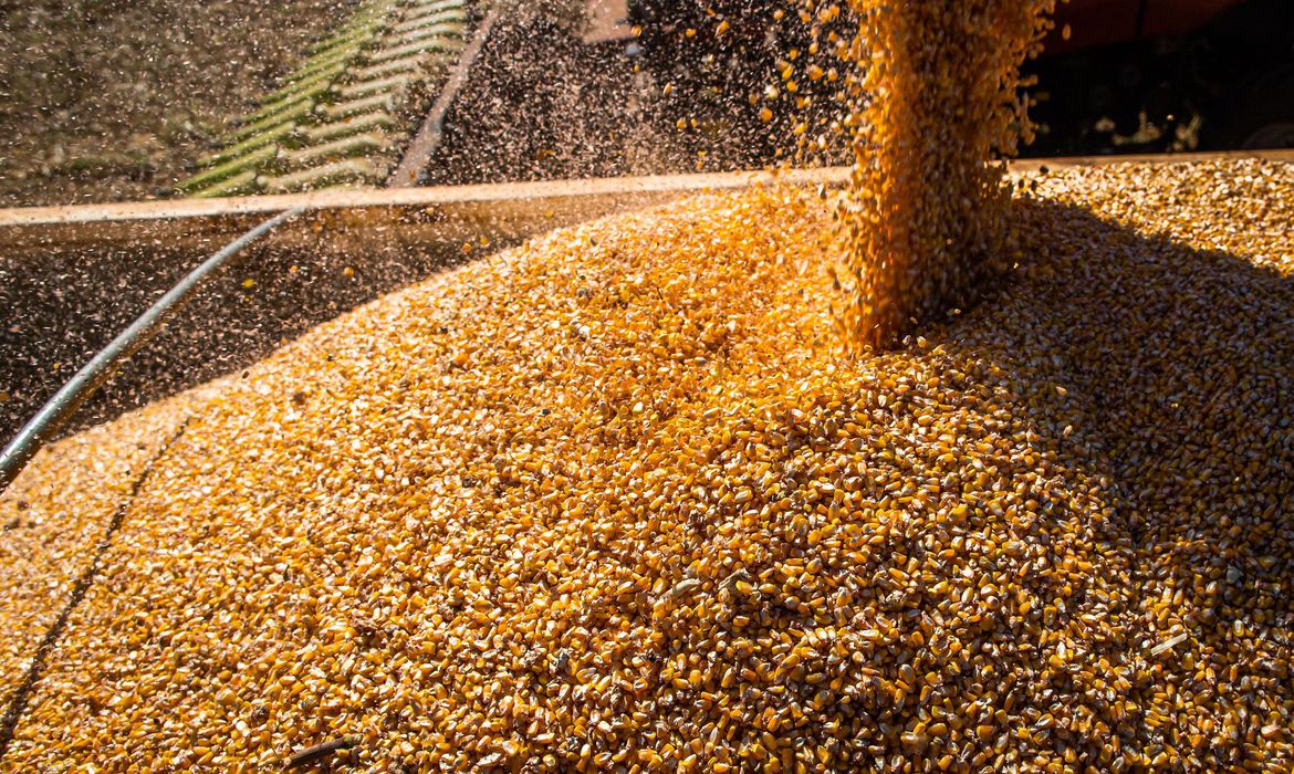 Capa Exportações do agronegócio batem recorde em janeiro