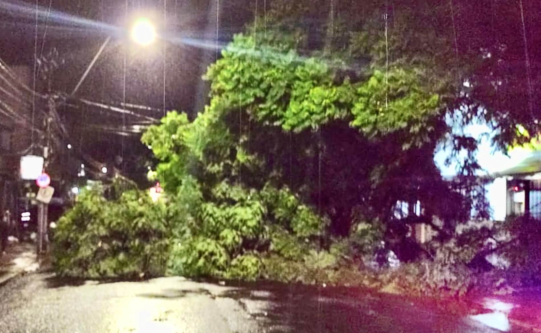 Capa Porto Alegre tem noite de temporal intenso e destrutivo