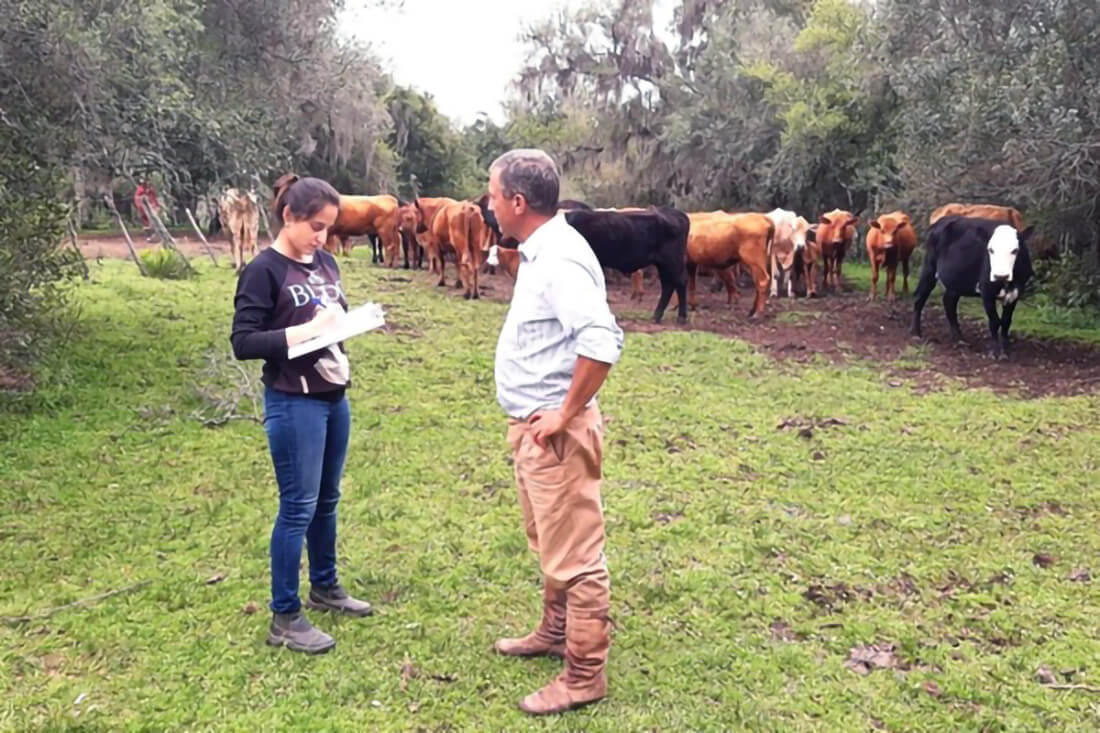 Capa Primavera é o momento ideal para realizar o manejo estratégico e proteger o rebanho dos parasitas