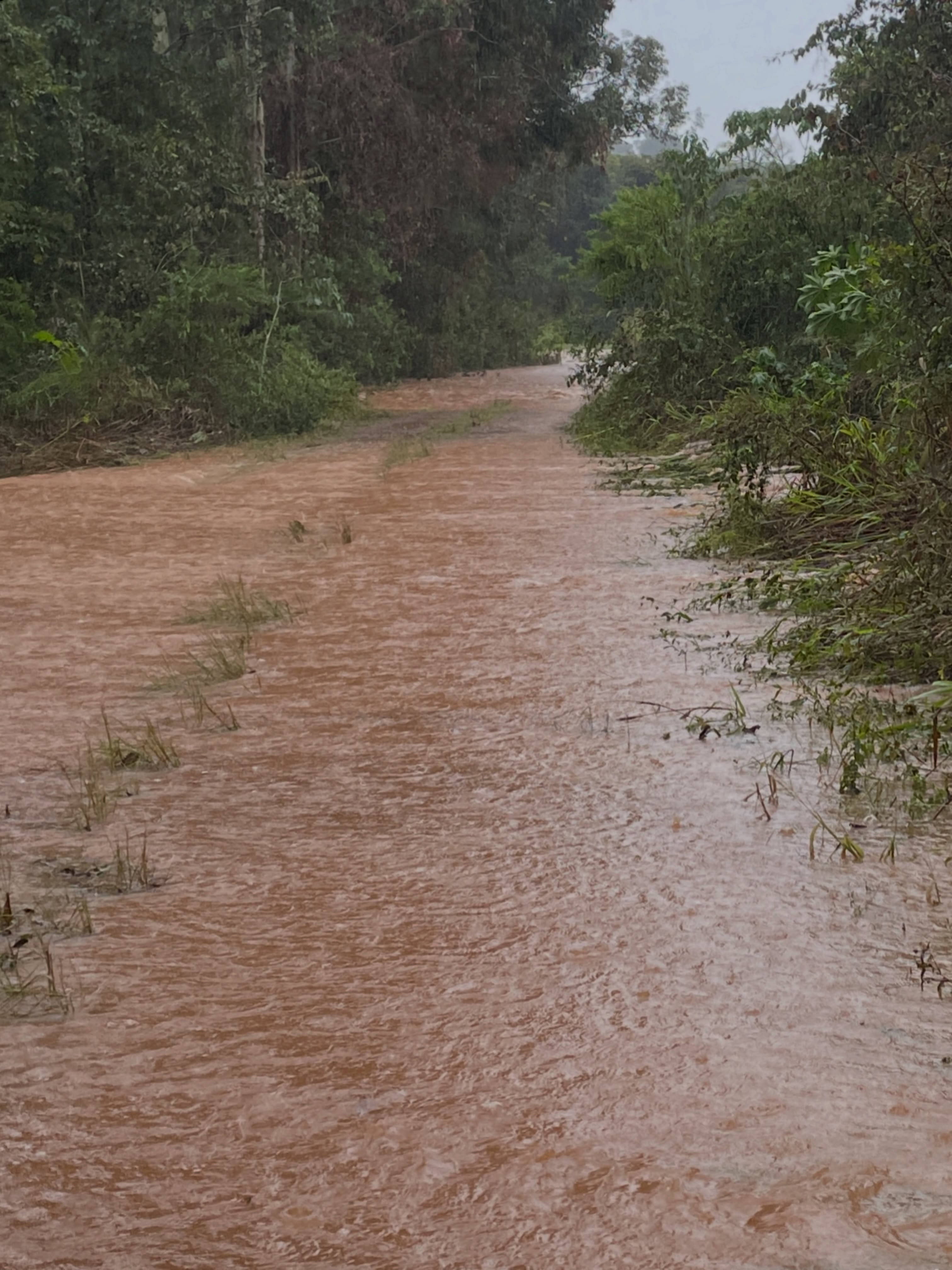 Capa Temporal provoca estragos no interior de Ronda Alta e mobiliza equipes de atendimento