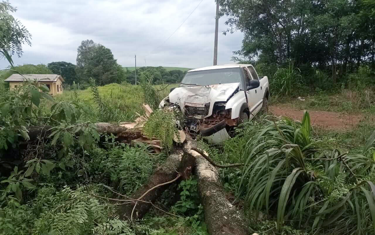 Capa Caroneiro morre após caminhonete colidir contra árvore em Nonoai