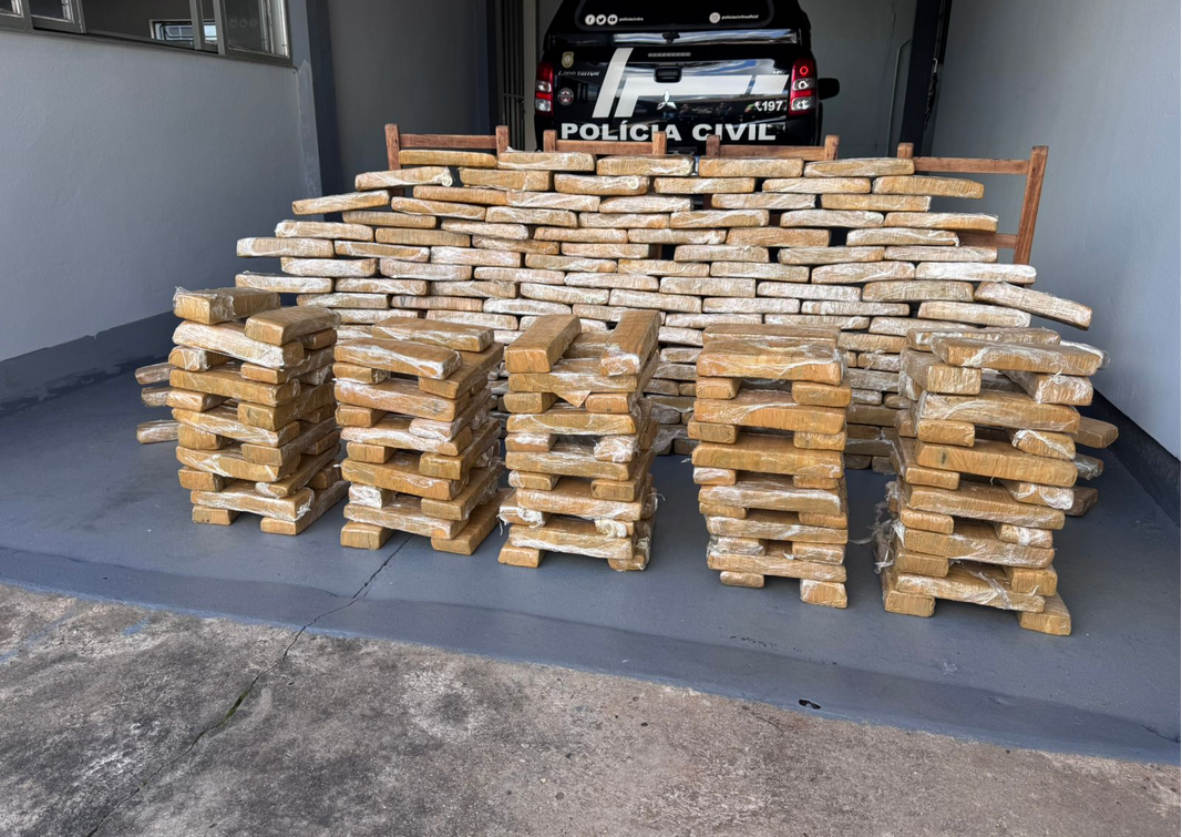 Capa Polícia Civil apreende 200kg de maconha em Condor