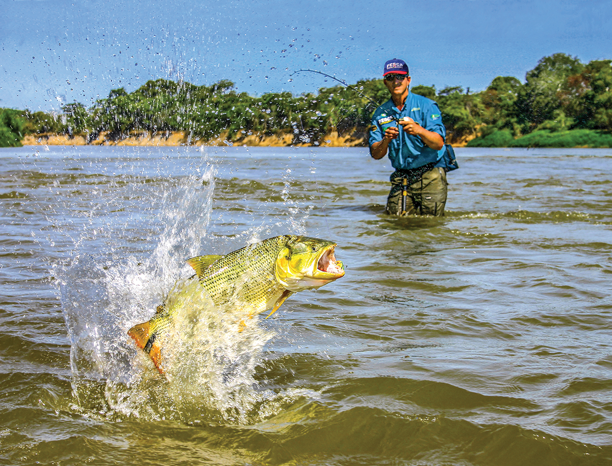 Capa Liberação da pesca esportiva do dourado no rio Uruguai avança após reunião na Casa Civil