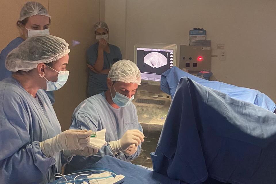 Capa HSVP é o primeiro hospital do RS a realizar técnica de ablação de miomas por radiofrequência