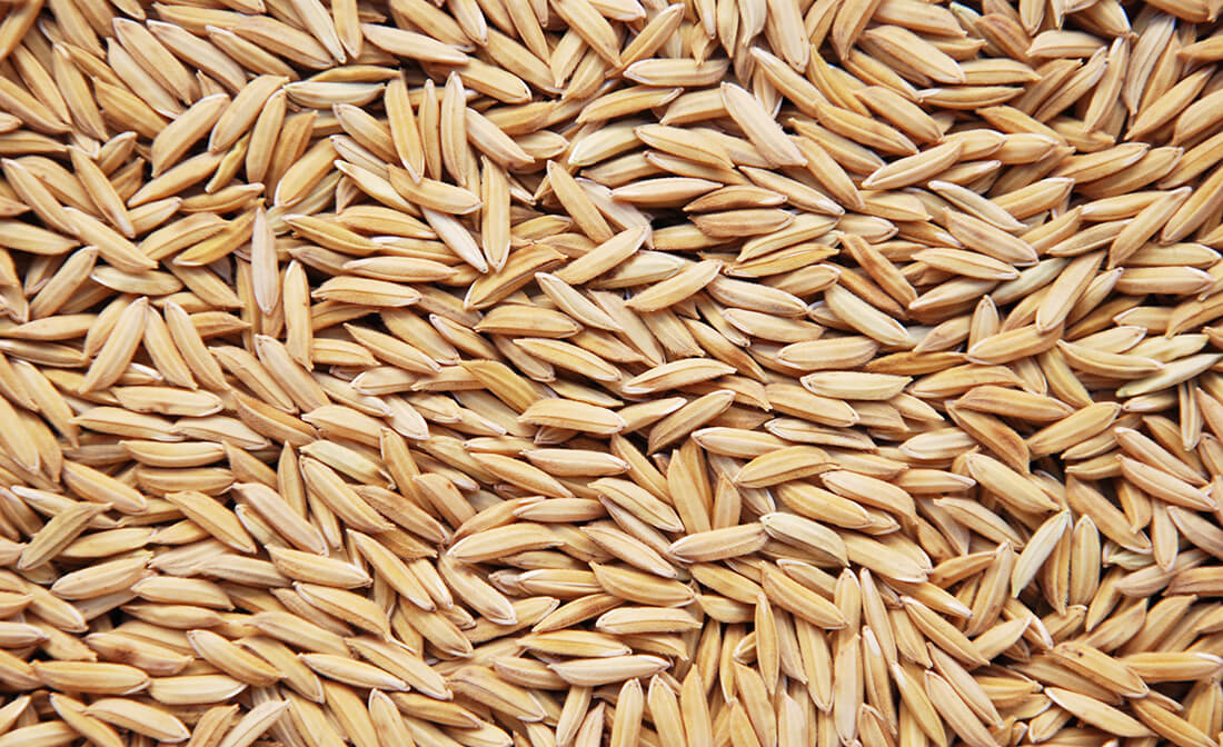 Capa Conab realizará leilões de contrato de opção de venda de arroz nesta semana