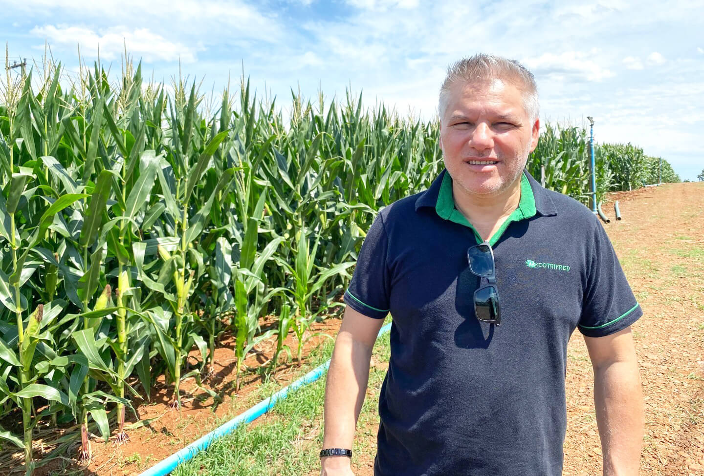Capa Noite de Campo de Milho da Cotrifred contará com mais de 10 estações
