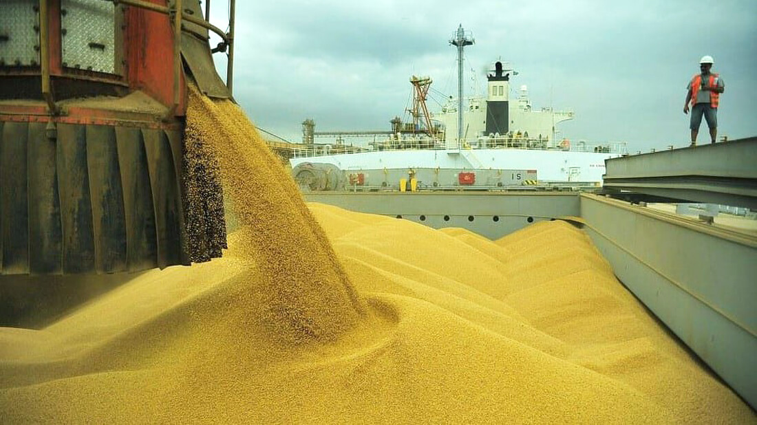 Capa Brasil deverá colher 150 milhões de toneladas de soja
