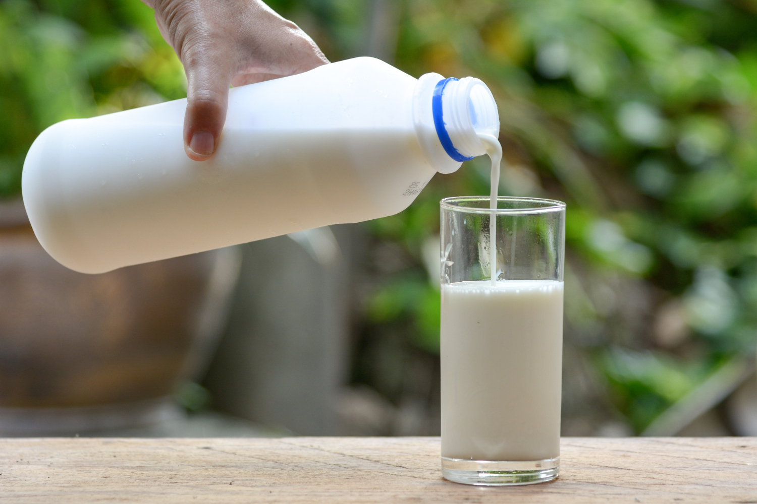 Capa Sesc e Senac Frederico Westphalen promovem campanha de arrecadação de leite na Semana da Alimentação