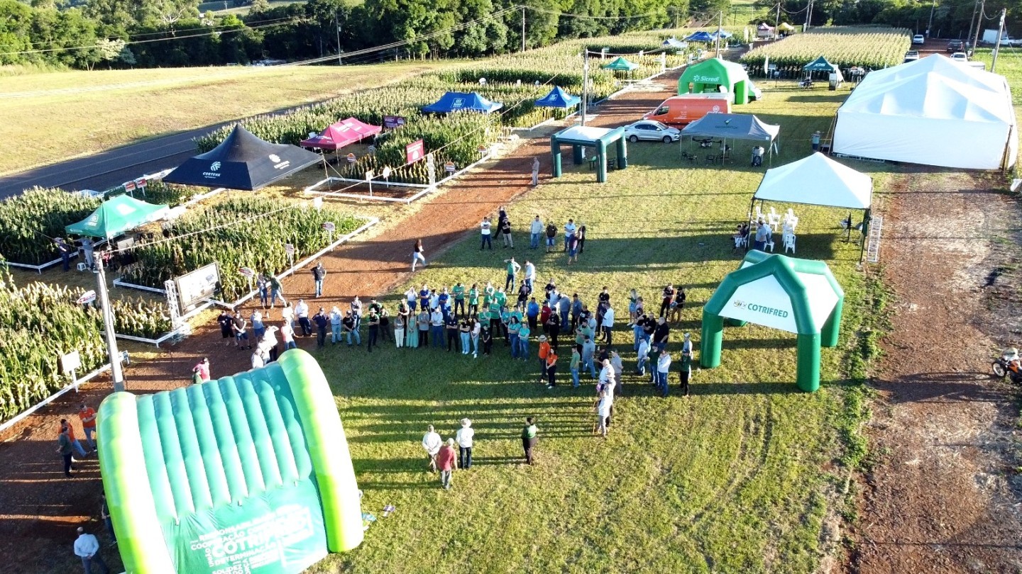 Capa 2ª Noite de Campo de Milho demonstra tecnologias para a produção do cereal