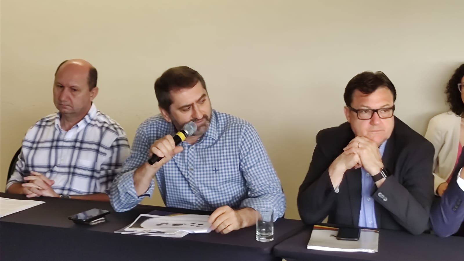 Capa Demandas de suinocultores são apresentadas ao Governo do RS