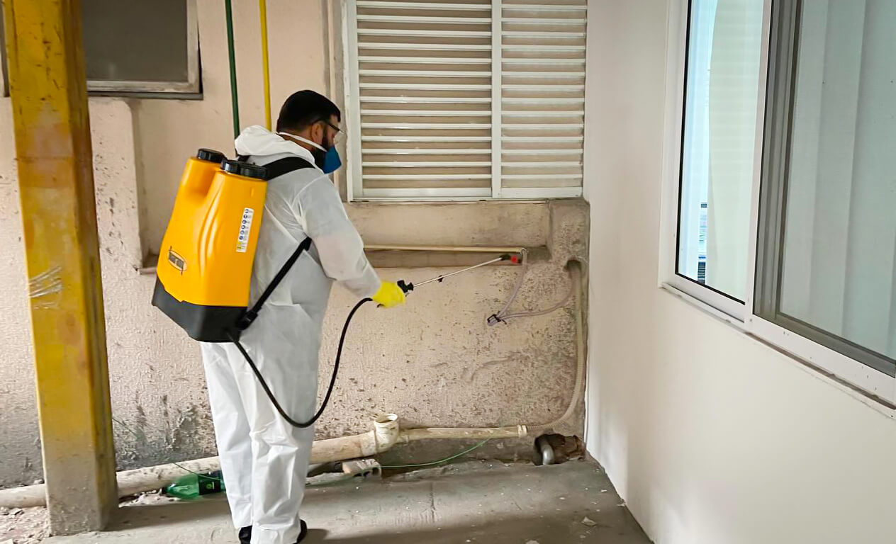 Capa Tenente Portela registra nova morte por dengue em 2024