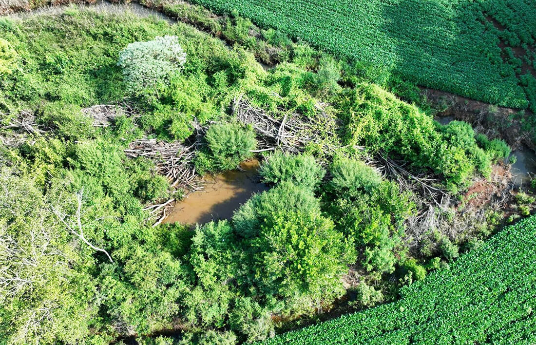 Capa Brigada Militar Ambiental flagra desmatamento ilegal de 18 mil metros quadrados em Chapada