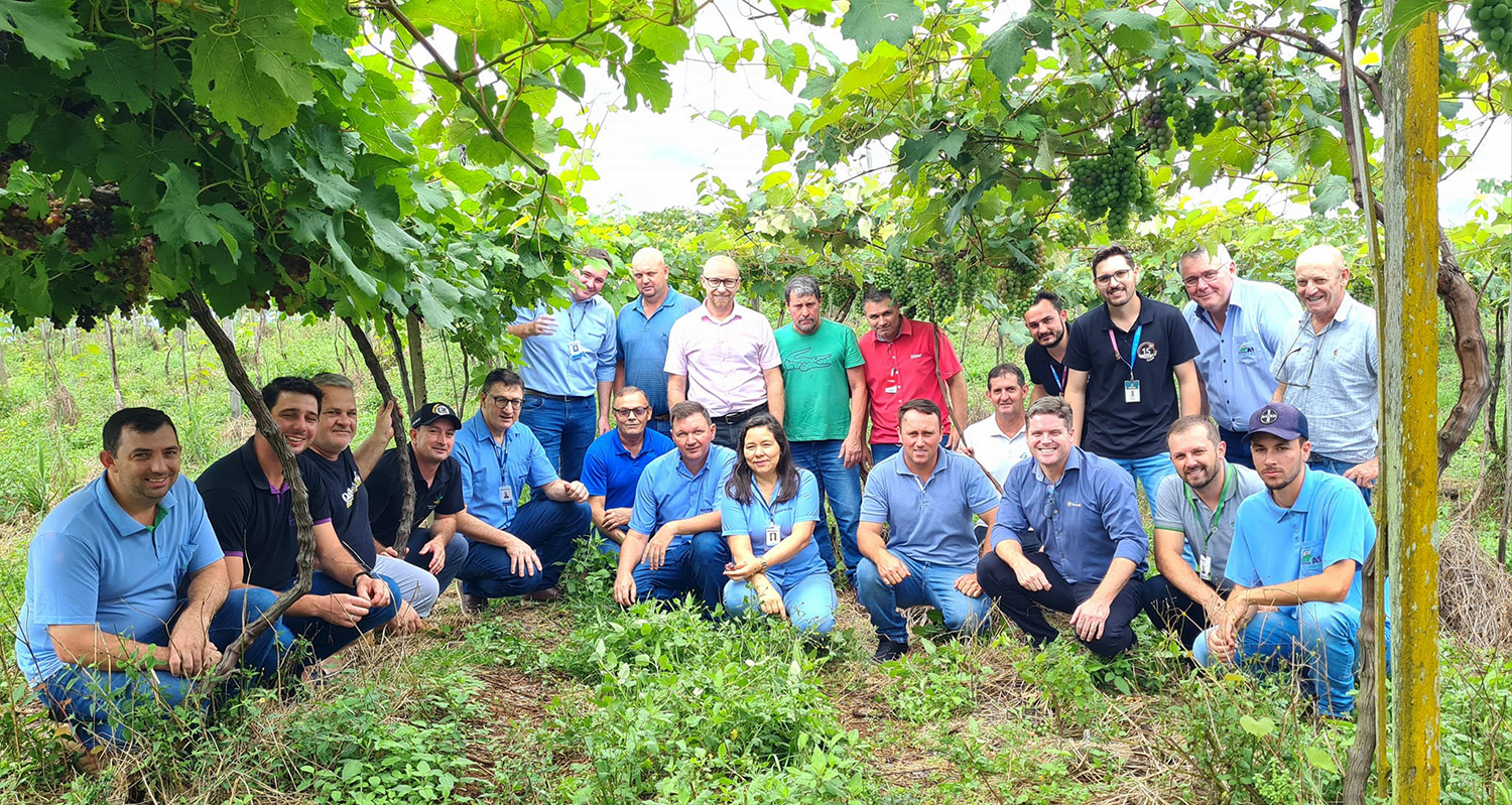Capa Ato simbólico marca a abertura da colheita da safra da uva de Ametista do Sul