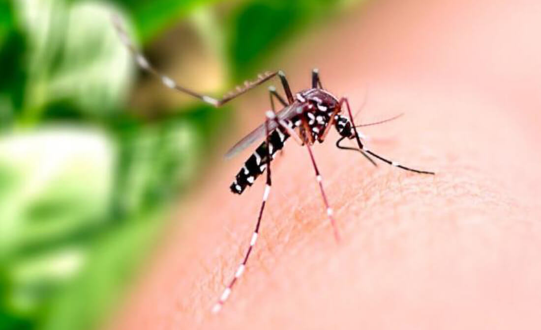 Capa Redentora registra mais uma morte por dengue