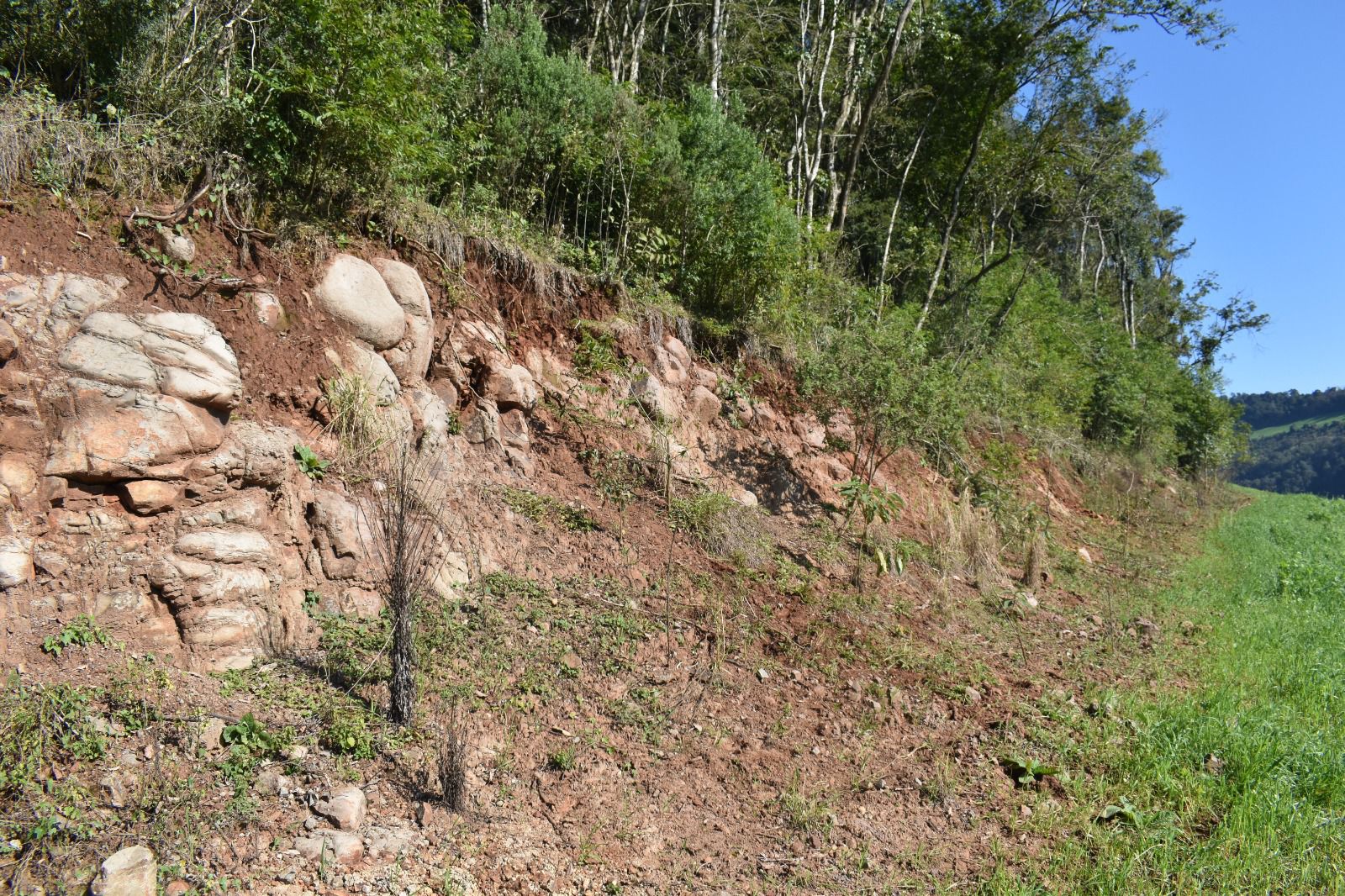 Capa Destruição de vegetação nativa é registrada em Barra do Rio Azul