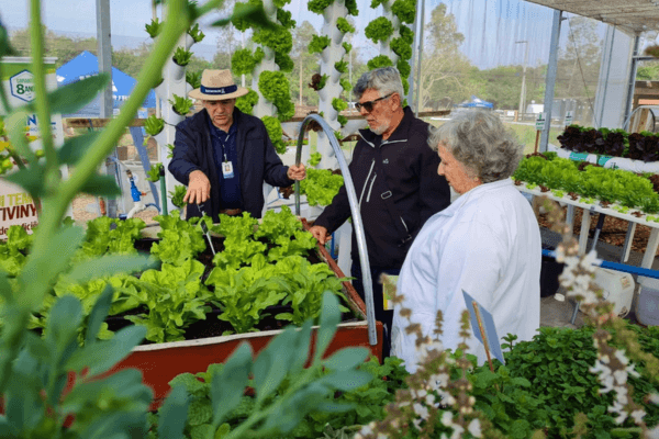 Capa Expointer 2023: Emater traz técnicas de produção sustentáveis e inovadoras na cadeia das hortaliças