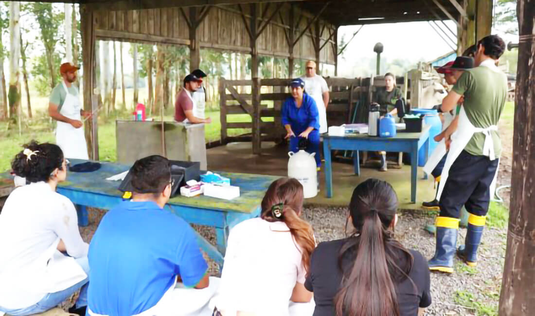 Capa Emater/RS-Ascar abre inscrições para cursos de qualificação da produção rural