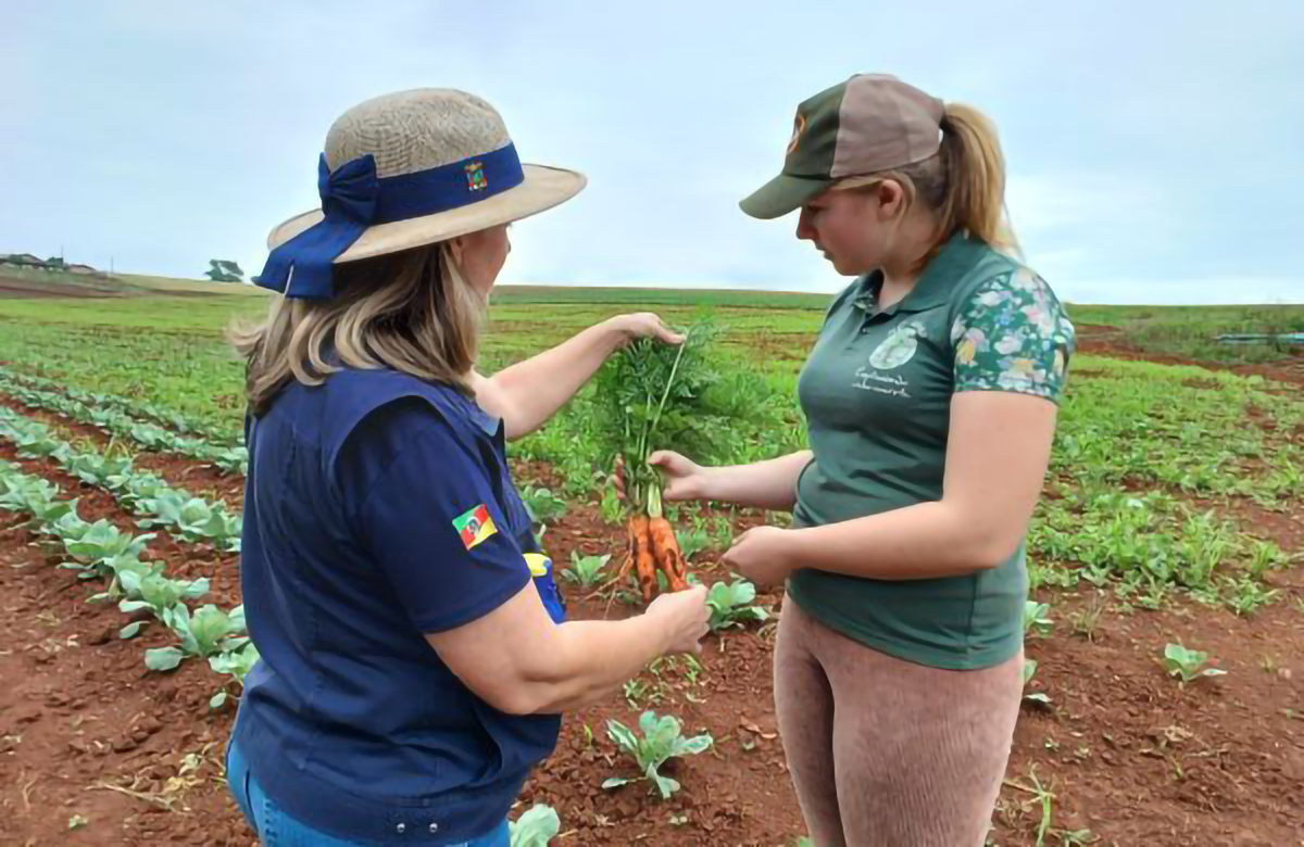 Capa Plano Safra da Agricultura Familiar amplia volume de crédito e reduz taxas de juros para produtores gaúchos