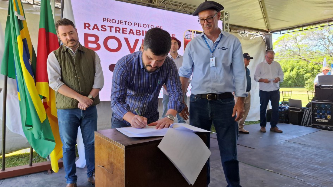 Capa Governo firma parceria com a Embrapa para projeto de rastreabilidade individual de bovinos no Estado