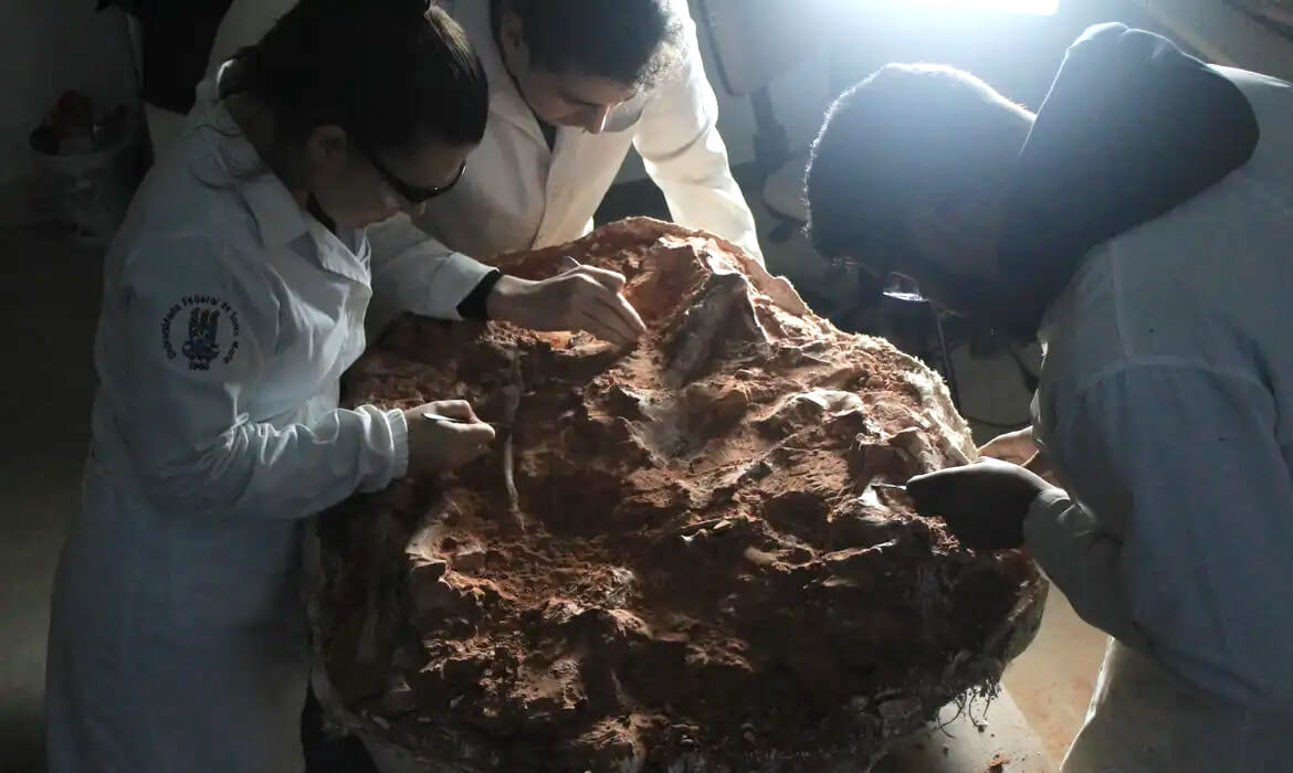 Capa Esqueleto de dinossauro com mais de 200 milhões de anos é descoberto no RS
