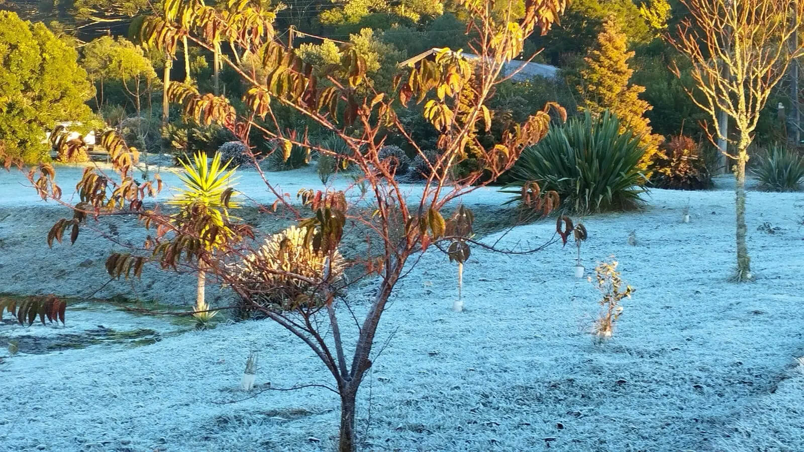 Capa Rio Grande do Sul gela com frio de -6ºC nesta quarta-feira