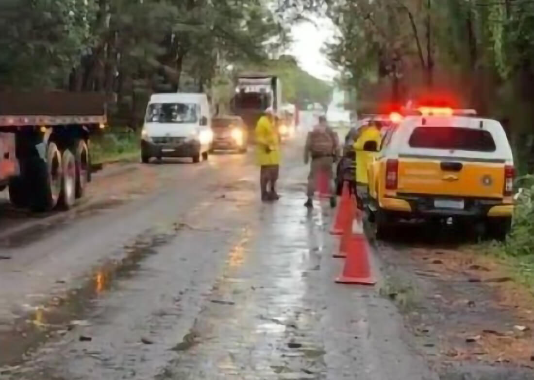 Capa Árvore cai sobre carro durante temporal e mata motorista em Cruz Alta