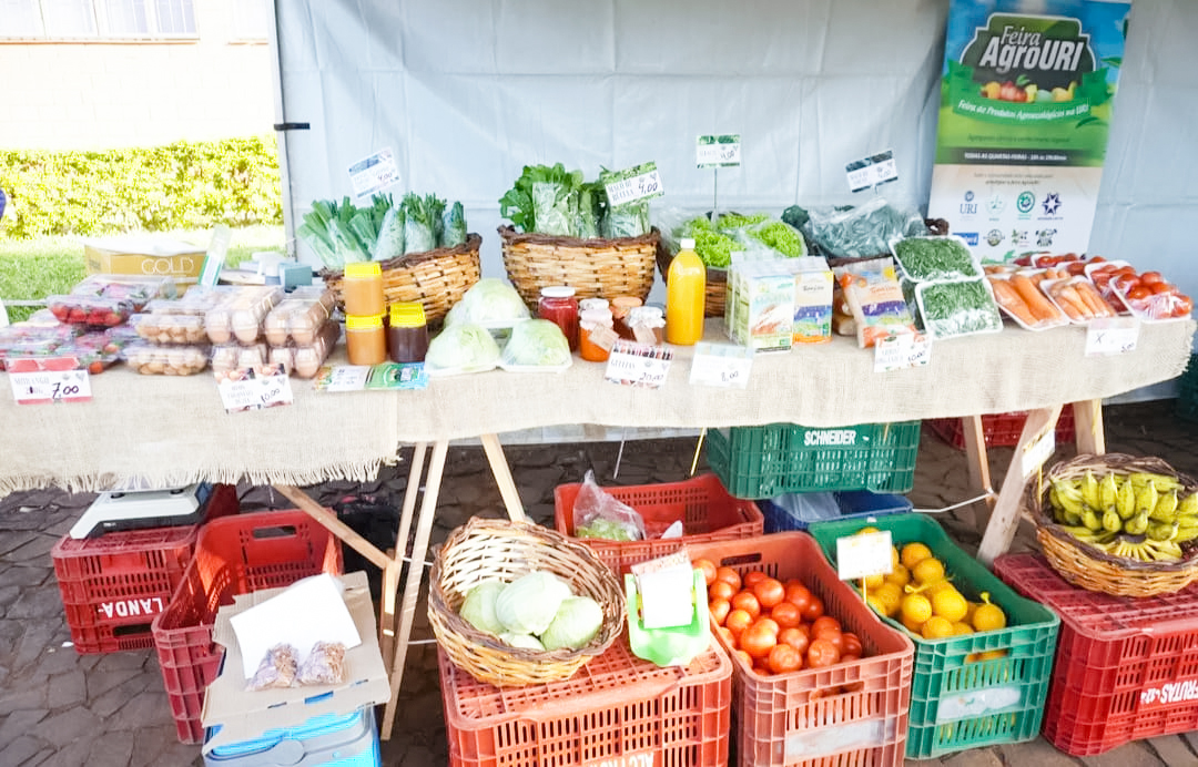 Capa Feira de produtos orgânicos conecta estudantes e comunidade
