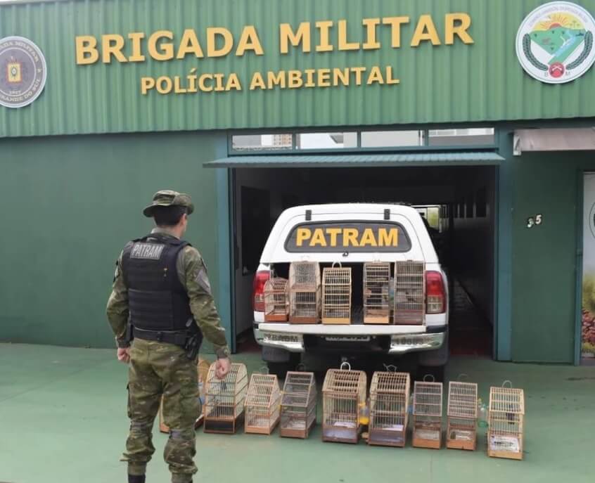 Capa Brigada Militar flagra descarte irregular de embalagens de agrotóxicos em Jóia