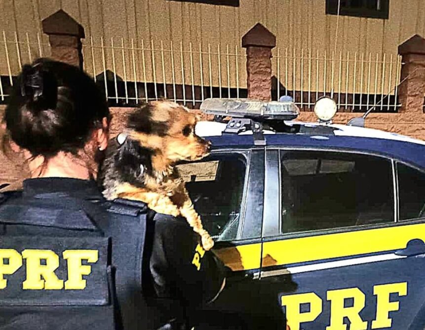 Capa Mulher de Redentora é conduzida a polícia judiciária após furtar cadelinha na BR-386