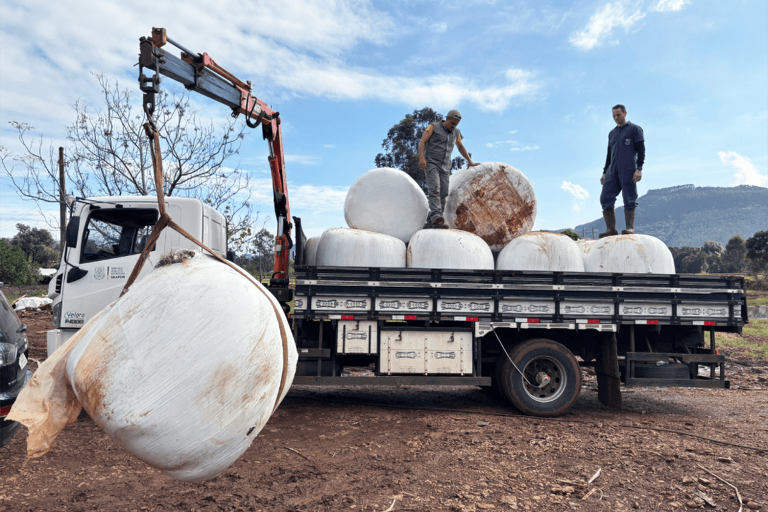 Capa Produtores gaúchos afetados pelas enchentes recebem doações de alimentos para os animais