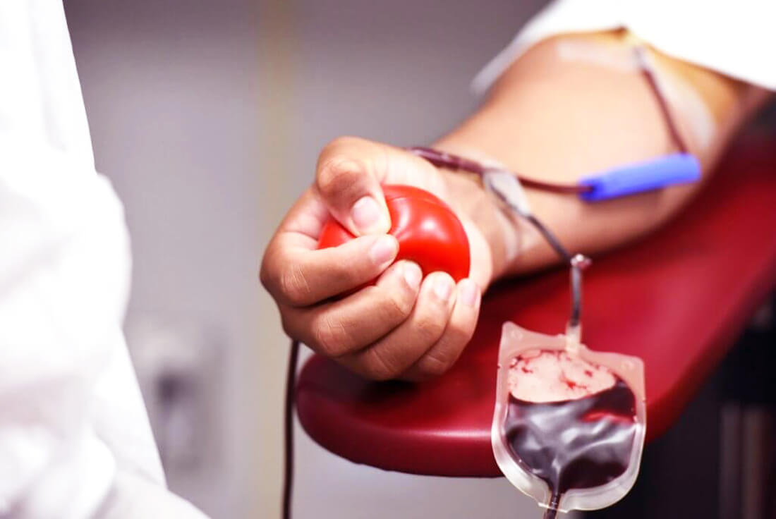 Capa Banco de Sangue de Frederico Westphalen recebe R$ 80 mil para modernização