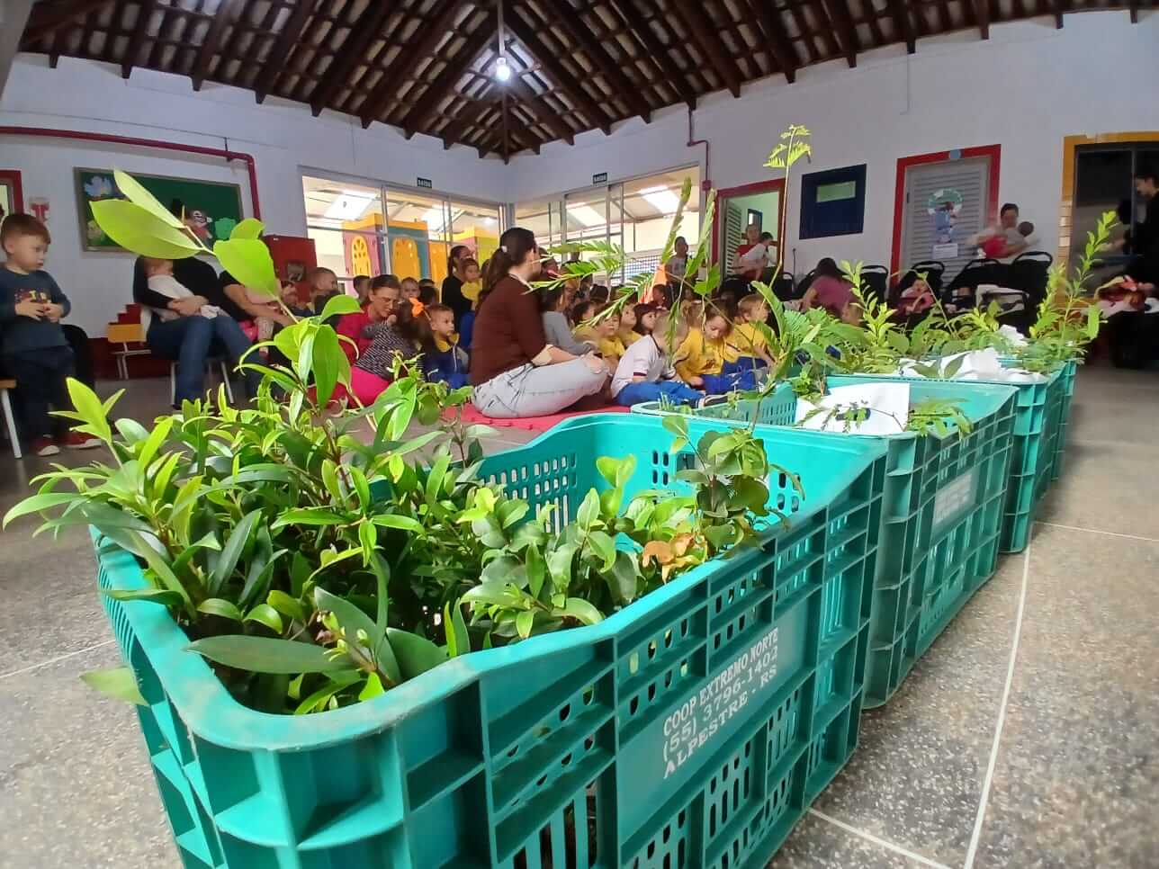 Capa Distribuição de mudas de árvores nativas marca o Dia do Meio Ambiente em Alpestre
