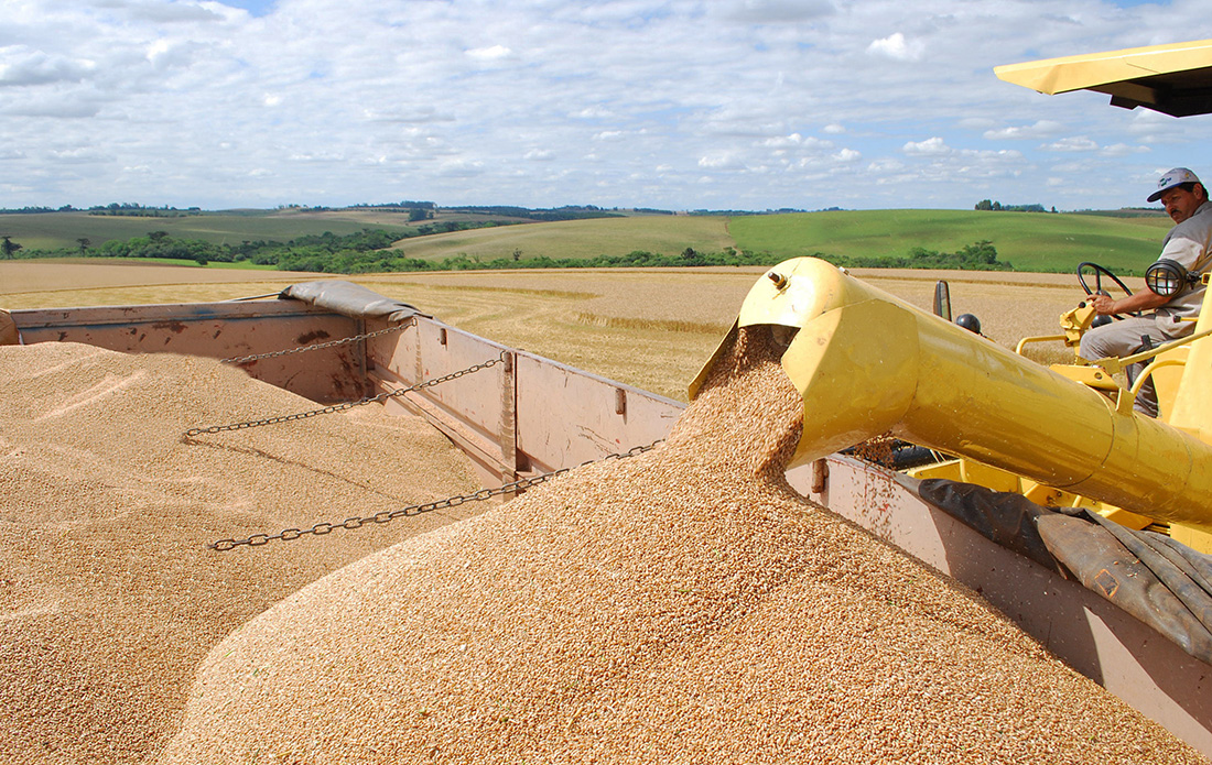 Capa Exportações do agronegócio gaúcho somam US$ 15,8 bilhões em 2024