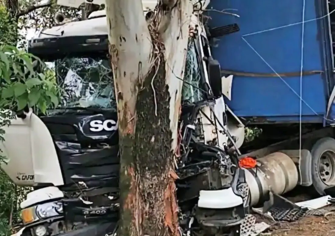 Capa Carreta sai da pista e atinge árvore na BR-158 em Panambi