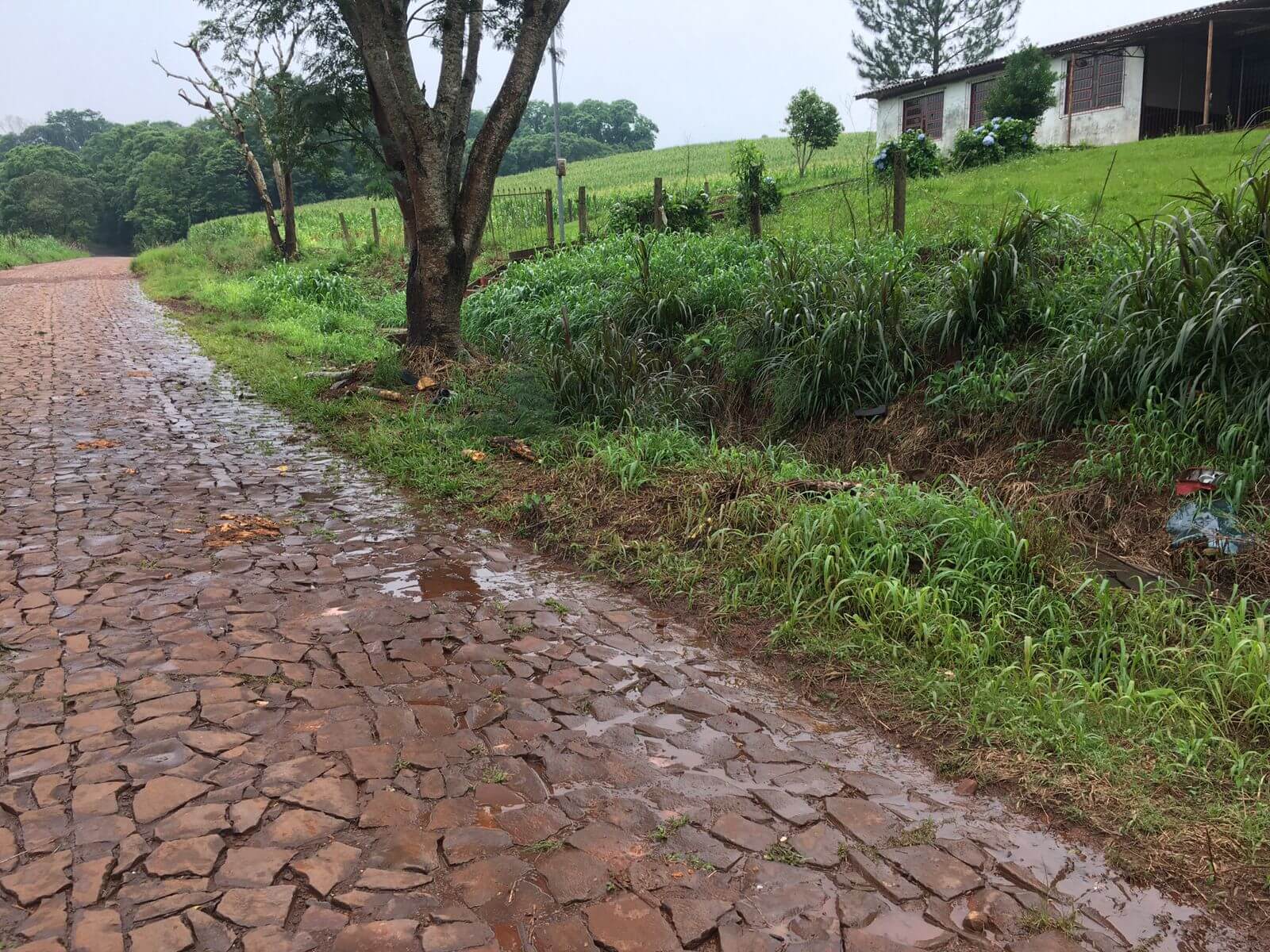 Capa Jovem morre no interior de Seberi, após ser arremessado para fora do veículo
