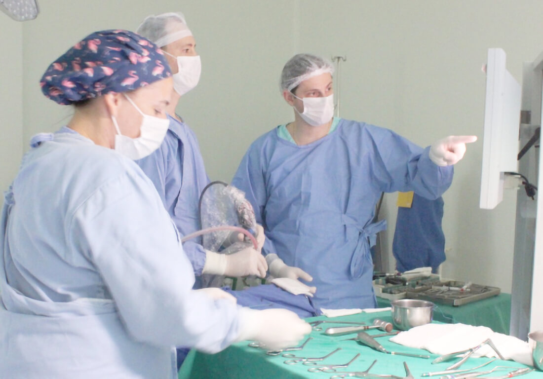 Capa Hospital de Clínicas de Carazinho é referência em Neurologia e Neurocirurgia para municípios da região