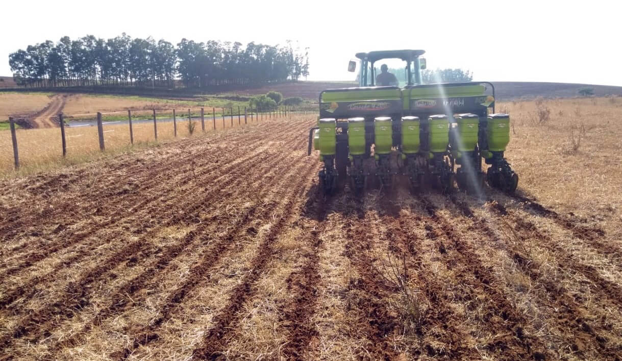 Capa Excesso de chuvas dificulta o plantio da soja na região