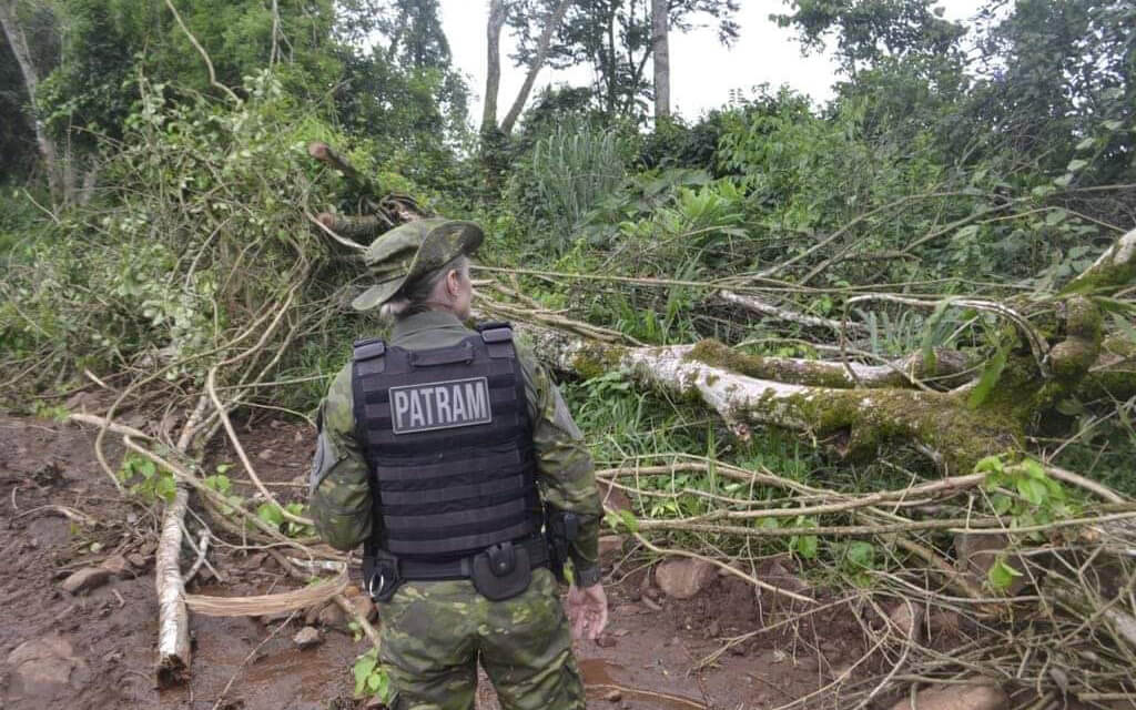 Capa 3º BABM flagra destruição de vegetação nativa no interior de Vicente Dutra