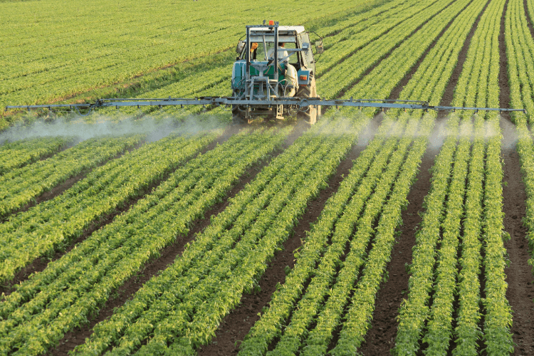 Capa IBGE: 32% dos solos do país têm potencial natural para a agricultura