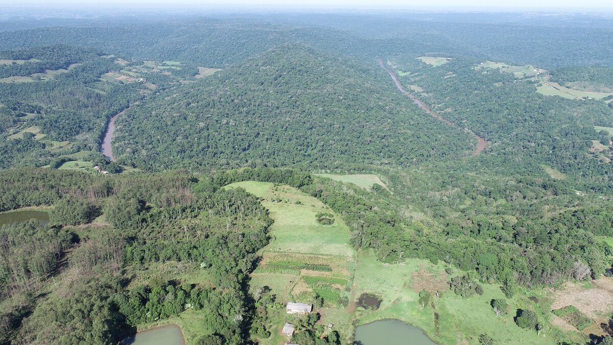 Capa Palmitinho assume gestão florestal com Convênio Mata Atlântica