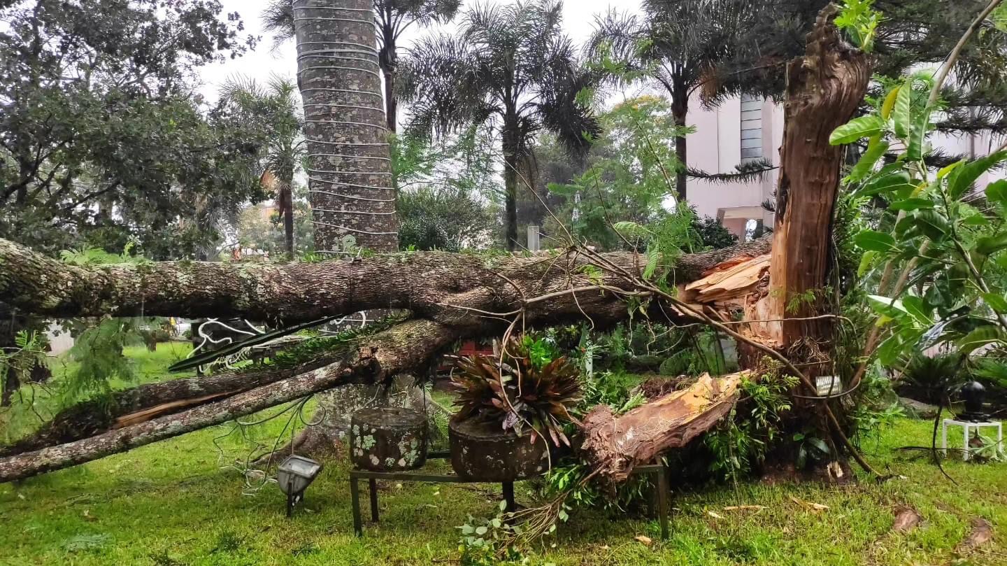 Capa 200 casas são destelhadas em Tenente Portela