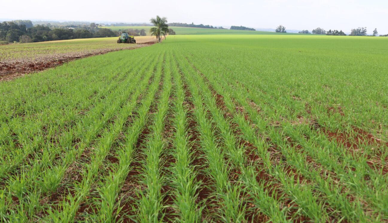 Capa Clima favorece plantio da safra de inverno no Rio Grande do Sul