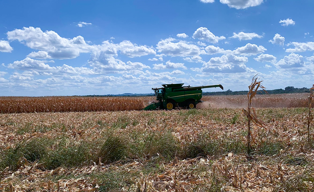 Capa Safra de soja pode ter quebra de 21% no Rio Grande do Sul